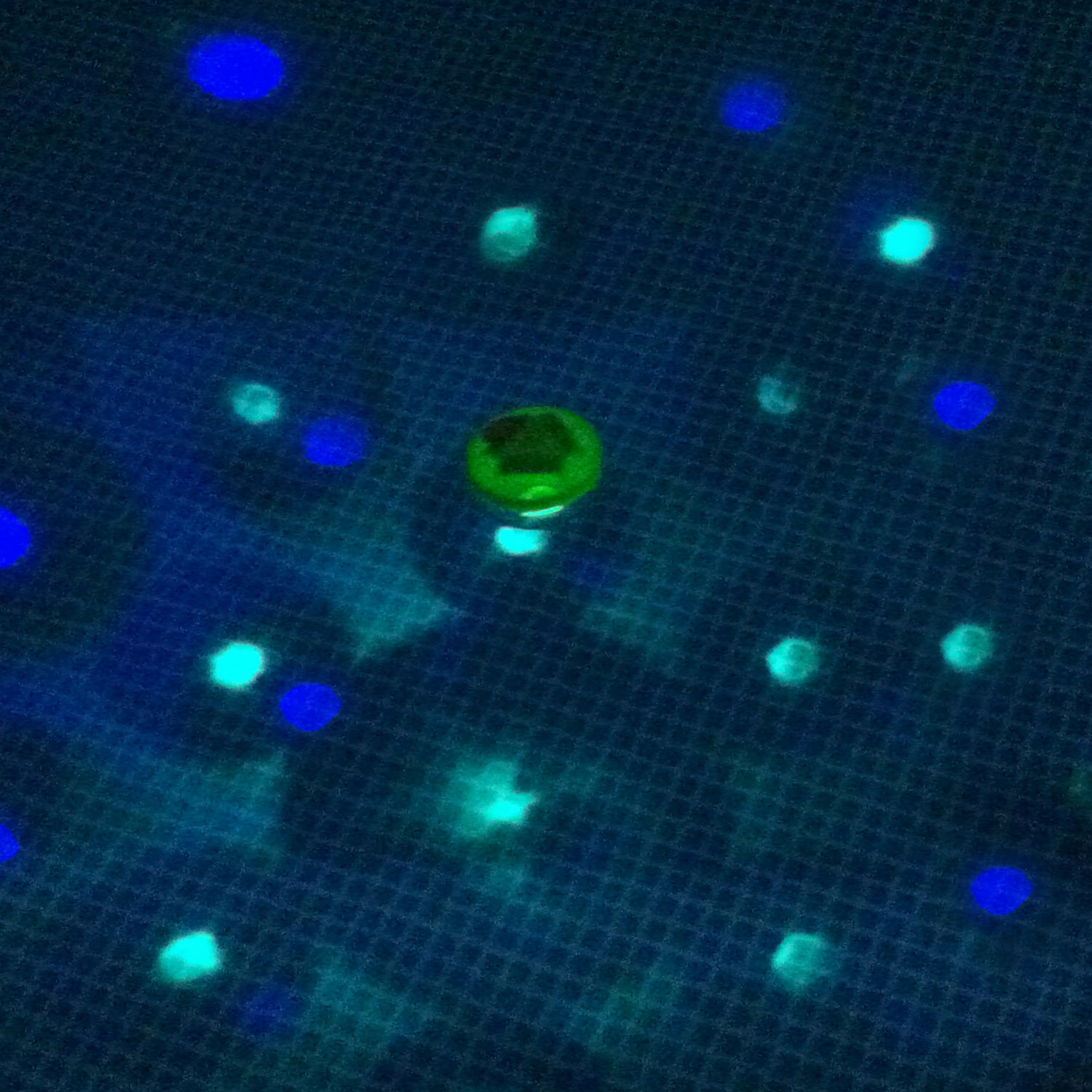 Steinbach LED Poolbeleuchtung |4-farbige Unterwasser Lichtshow
