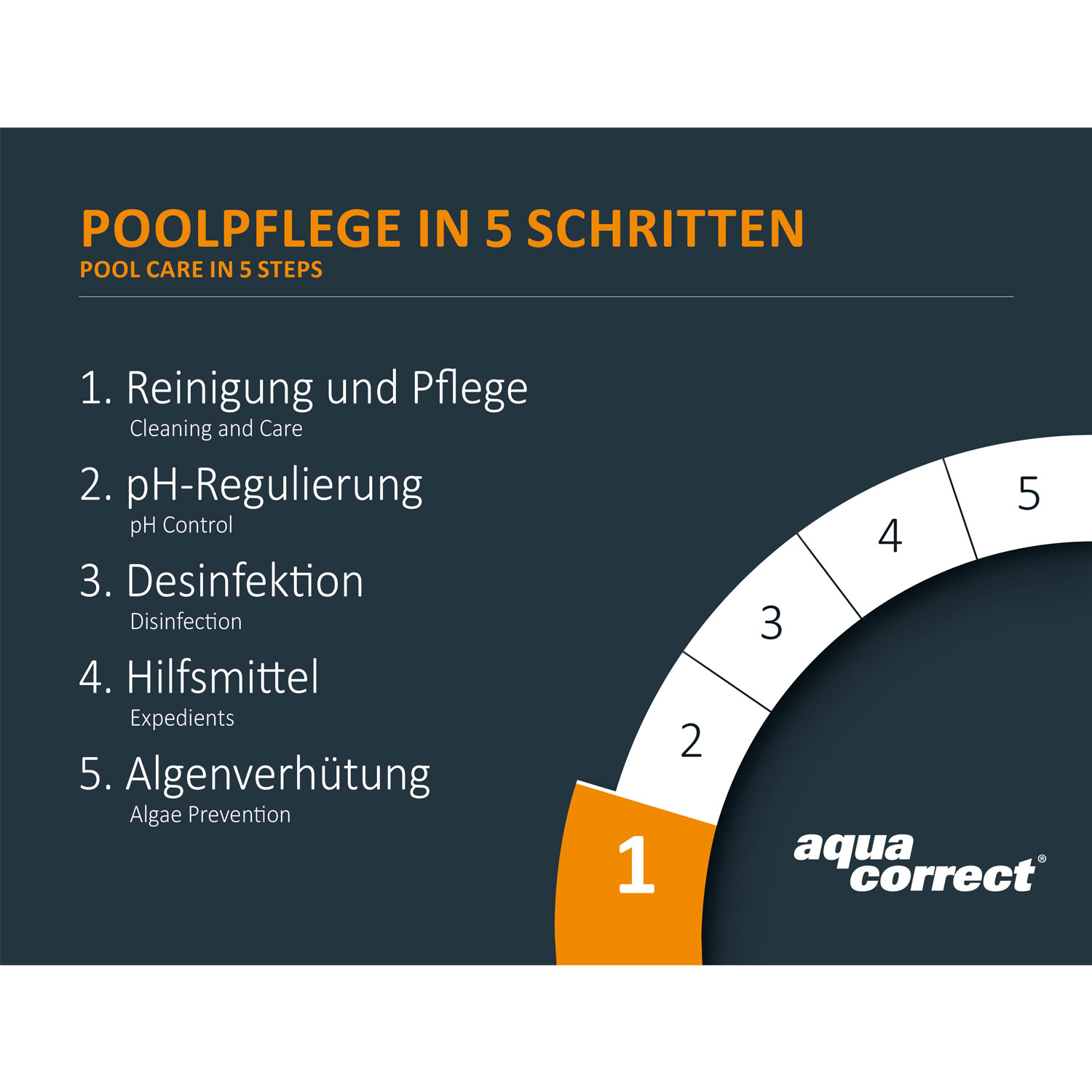 Steinbach Pool Chlortabs | langsamlösliche 200 g Tabletten | 1 kg