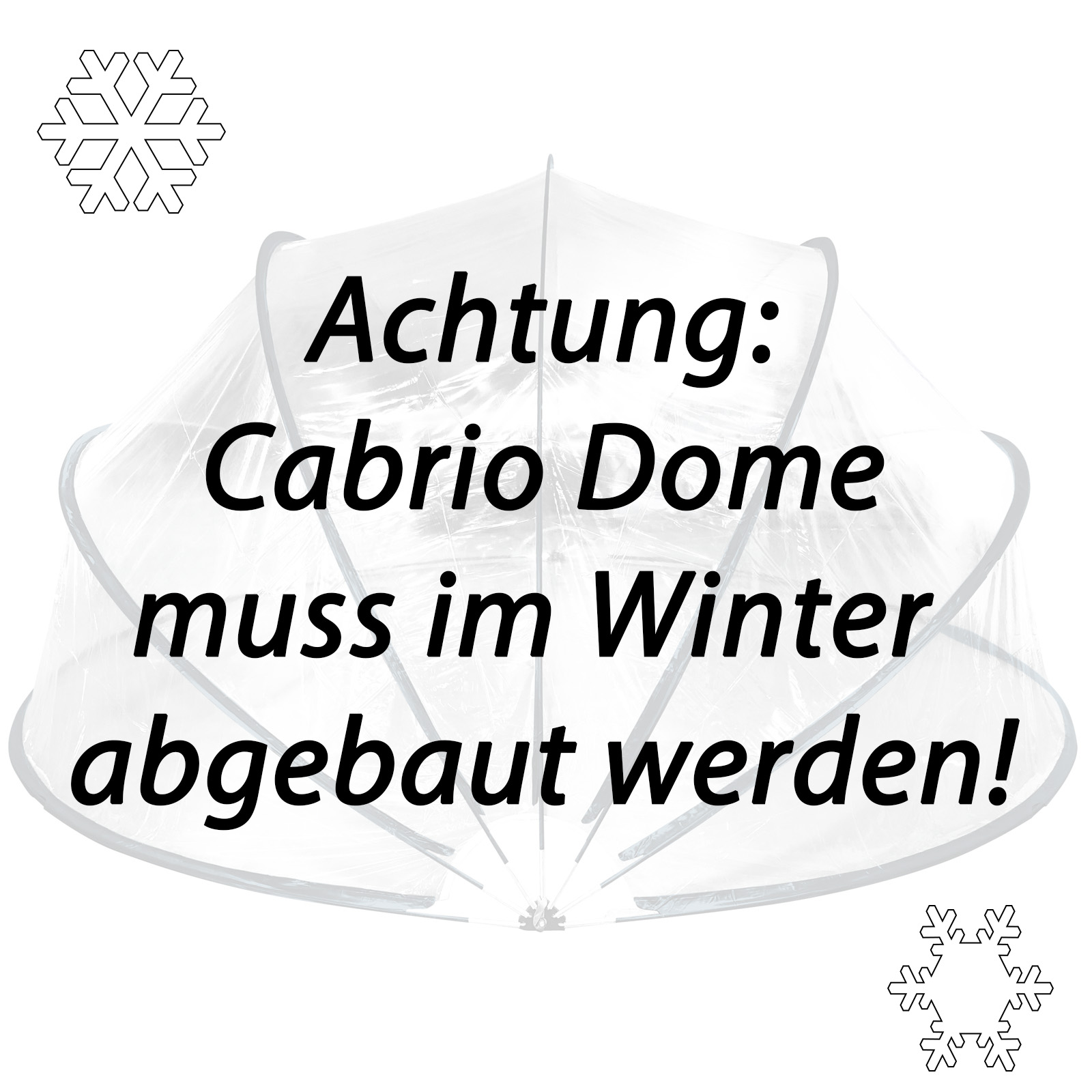 Steinbach Pooldach 440 x 220 cm Cabrio Dome | schwarz