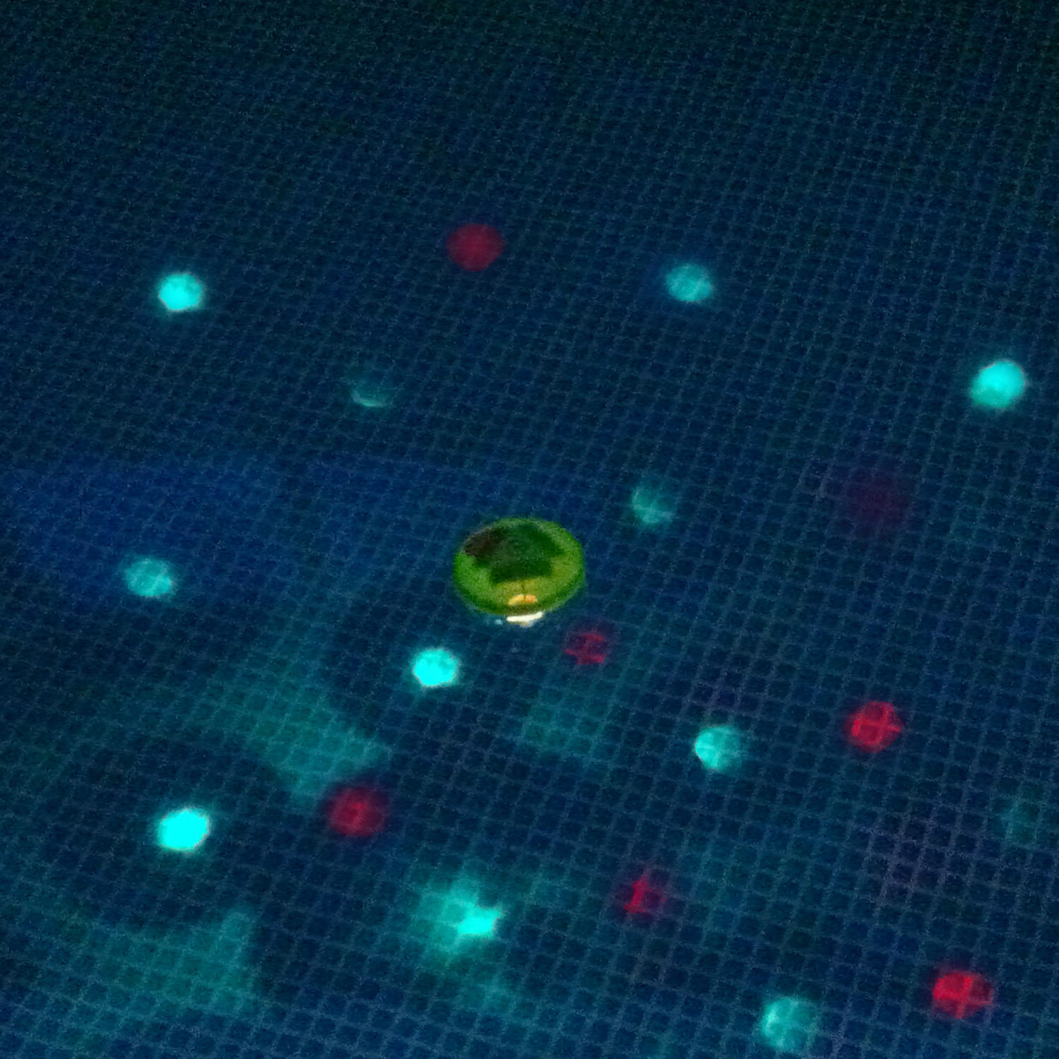 Steinbach LED Poolbeleuchtung |4-farbige Unterwasser Lichtshow